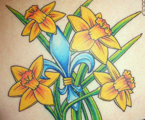 Bunch Of Daffodil