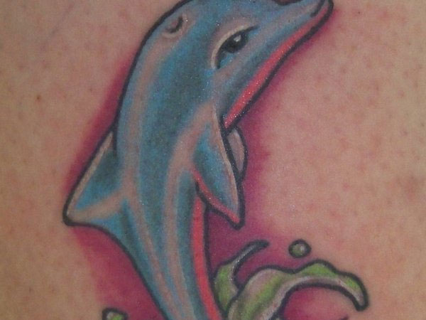 Colorful Dolphin