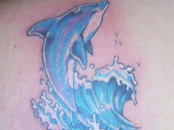 Dolphin On Back