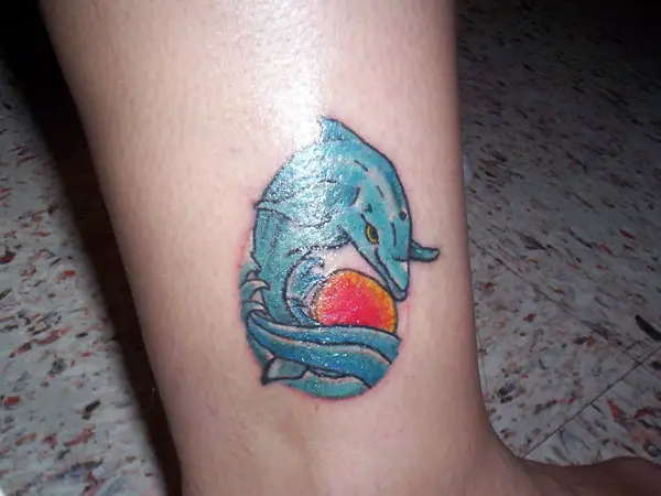 Dolphin Tattoo Healed