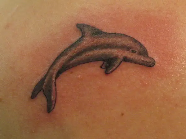 First Dolphin Tattoo