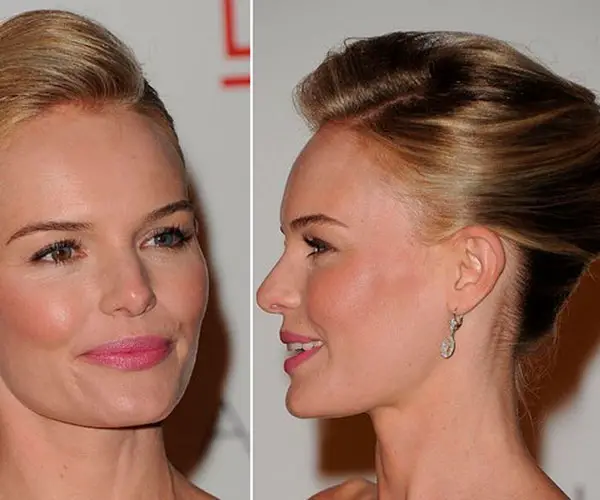 Classic French Twist