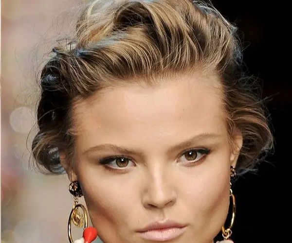 Cool French Twist Hairstyle