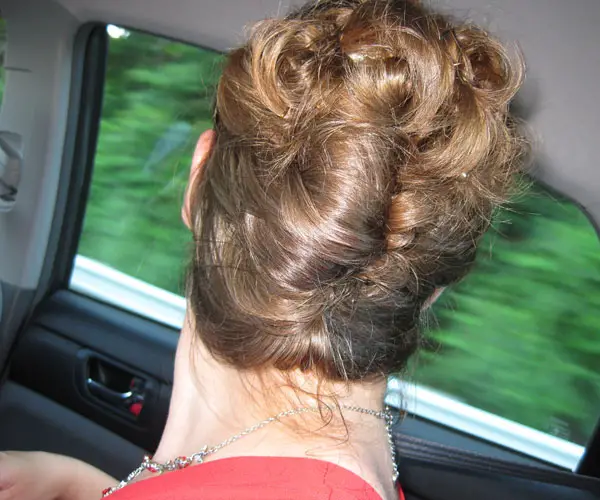 French Twistish Hairstyle