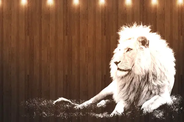 Lion Wall