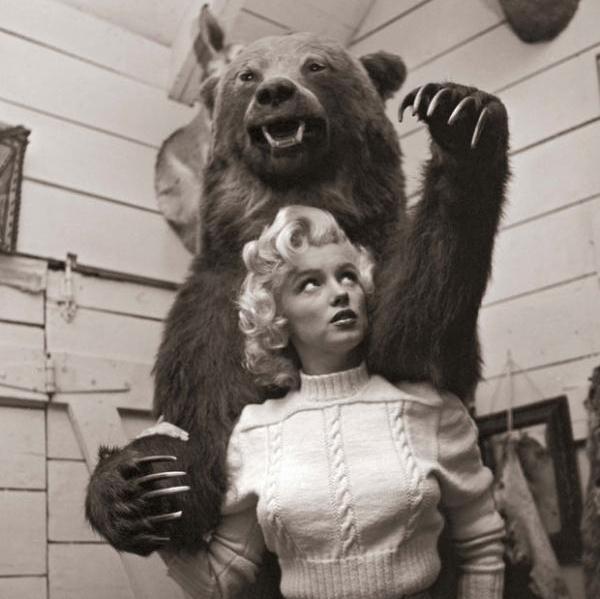 Monroe And Bear