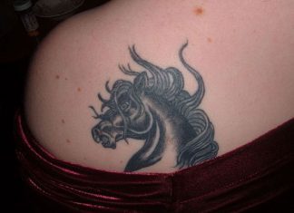20 Fantastic Stallion Tattoo Designs