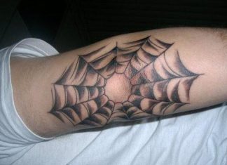 35 Artistic Spider Web Tattoo Designs