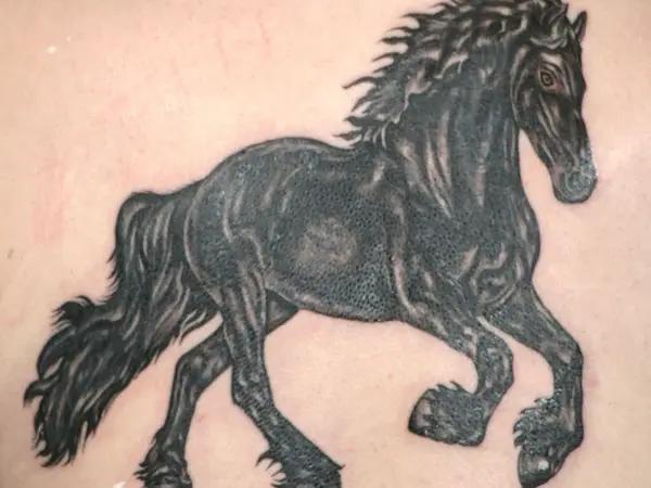 Friesian Stallion Tattoo