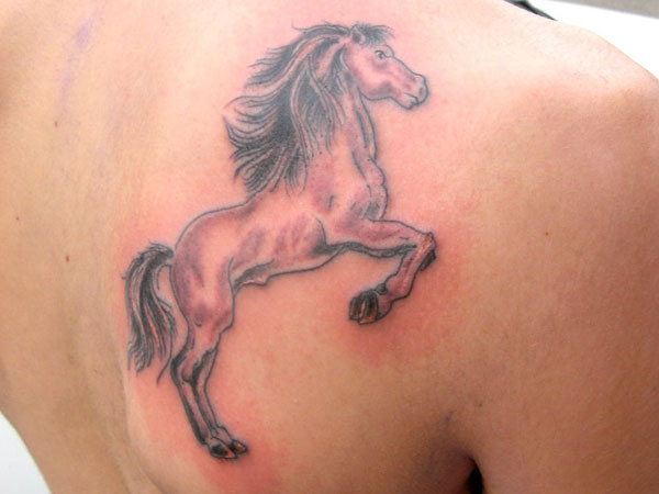 Stallion Tattoo On Back