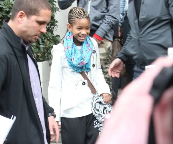 Willow Smith Braided Hair