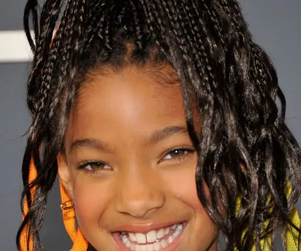 Willow Smith Braided Hairstyle