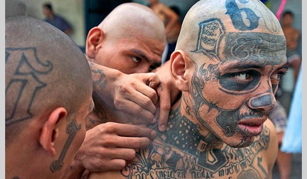 Law Enforcement Guide to Texas Street Gangs  Public Intelligence