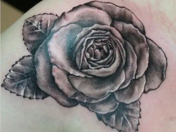 Exotic Black Rose Tattoo Designs With Images - Design Press