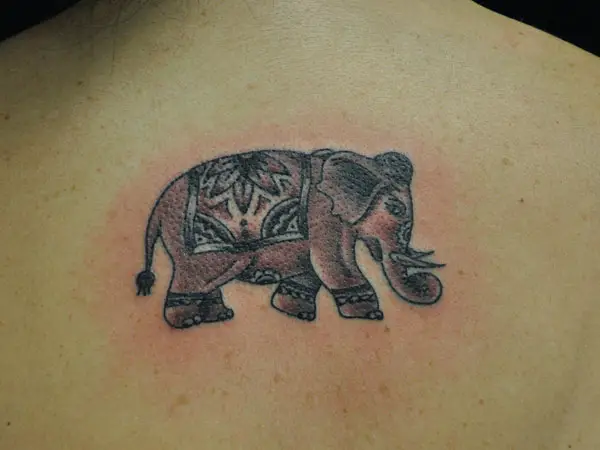 Indian Elephant Tattoo