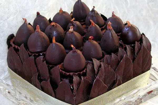 Chocolate Walnut & fig Torte