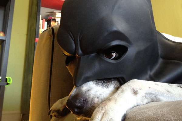 Dog Batman