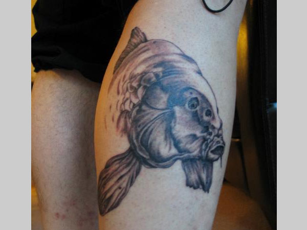 Shaded Fish