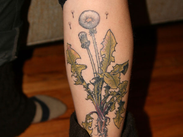 Wild Dandelion Tattoo