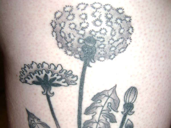 Gorgeous Dandelion Tattoo