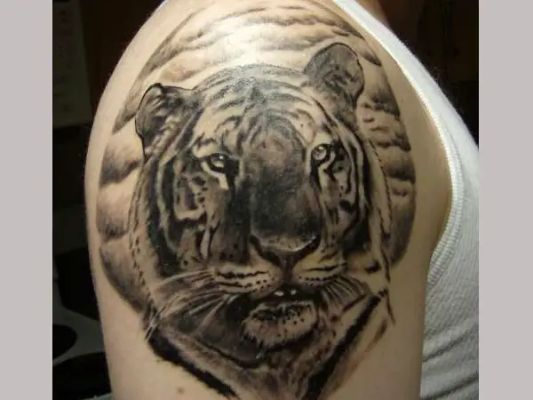 Restful Tiger Tattoo
