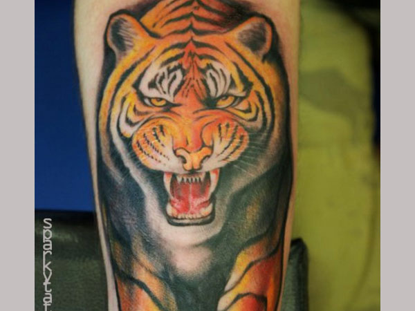 Tiger Tattoo Designs - 25 Stunning Collections | Design Press