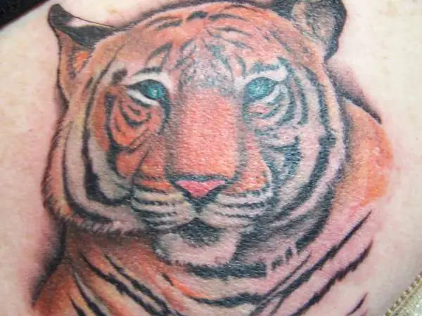 Shoulder Tiger Tattoo