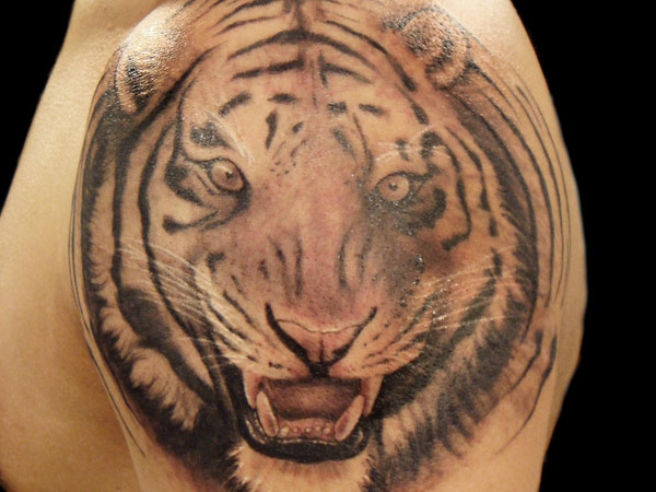 Raging Tiger Tattoo