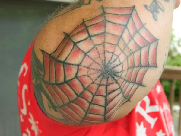 Web Spider Elbow