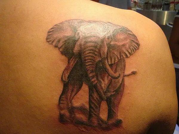 Elephant Tattoo Details