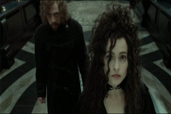 Bellatrix Hairstyle