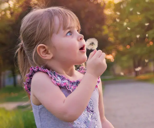 Dandelion Breath