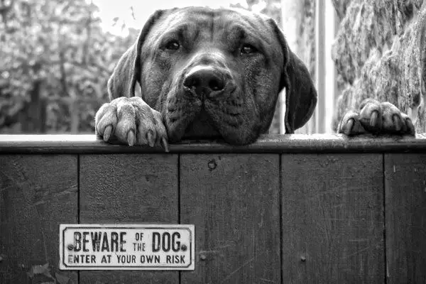 beware