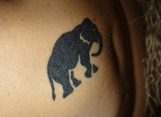35 Astonishing Elephant Tattoo Designs