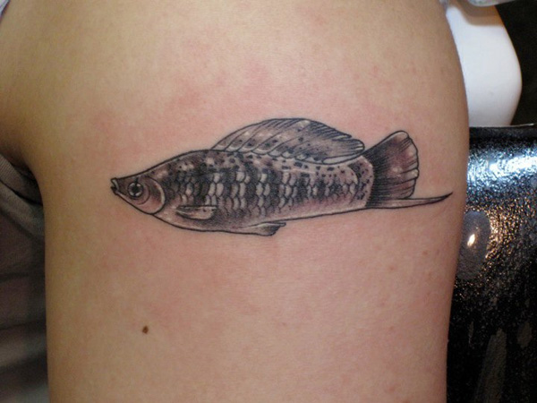 Gentle Fish Tattoo Of Tetra