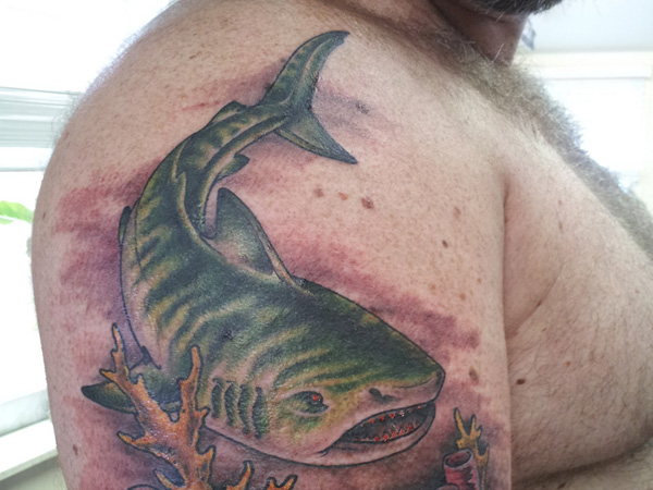 Huge Tiger Shark Tattoo