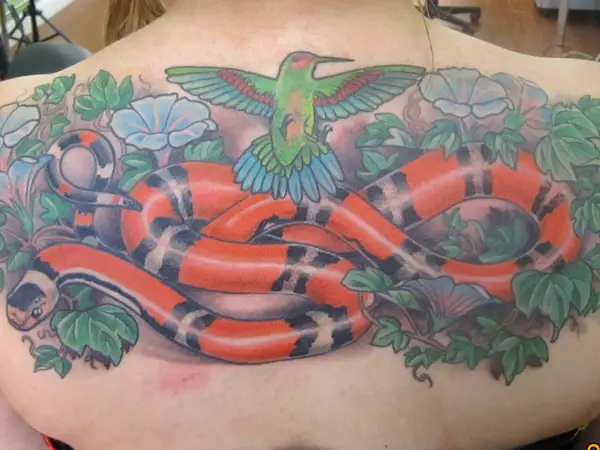 The Snake & the Bird Tattoo