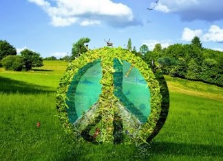 25 Adorable Peace Sign Backgrounds