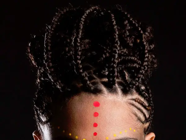 African Braid Hairstyles Design Press