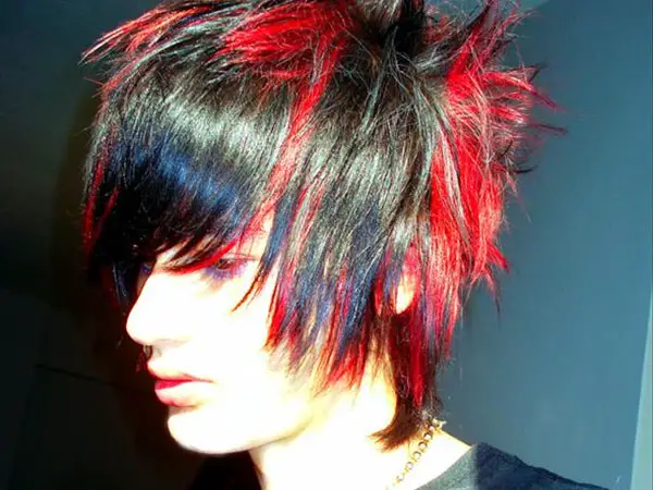 Black Red Alternative Hairstyle