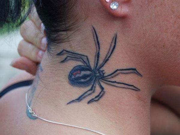 Very Artistic Spider