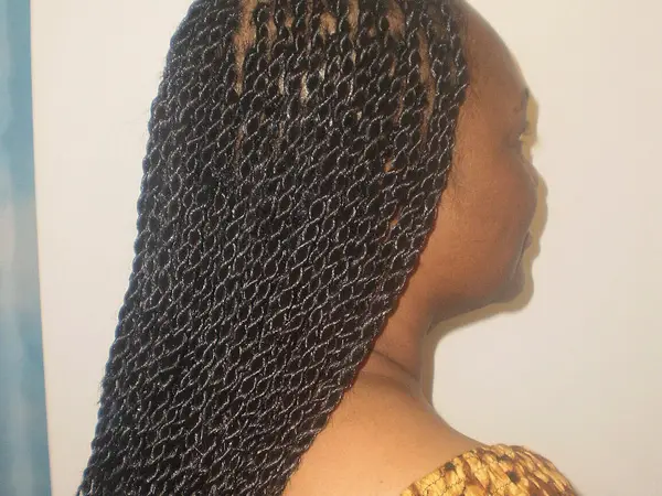 Braid Hairstyles For Black Women 30 Impressive Styles Design Press