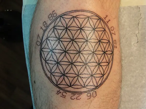 Flower of Life Tattoo Designs - 25 Fabulous Collections | Design Press