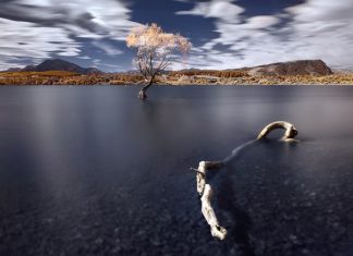 25 Pretty Background Pictures You Can Use Today