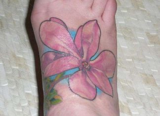 25 Splendid Magnolia Tattoo Collection