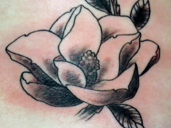 Magnolia Black Design Tattoo