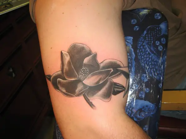 46 Wonderful Magnolia Tattoos