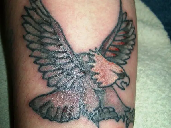 Gray Eagle Tattoo