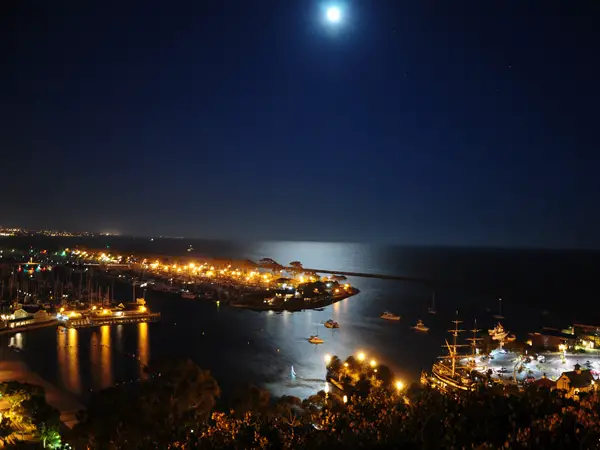 Moon Harbor Picture