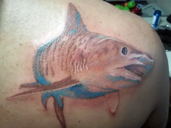 shark tattoo 3dTikTok Search